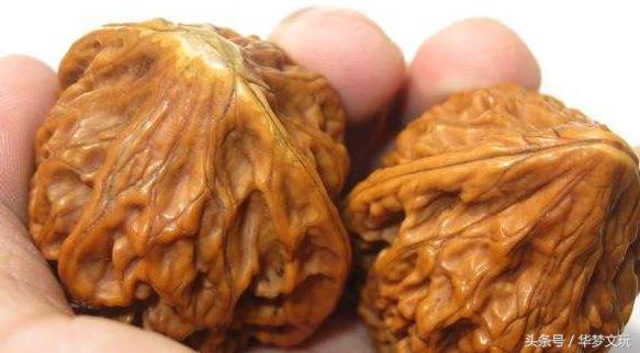 怎么预防核桃黄尖黄边,核桃的黄边和黄尖