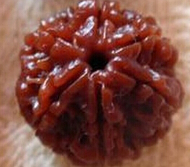 做旧大金刚和老金刚鉴别,金刚菩提做旧用什么材料