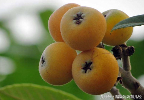 1岁宝宝感冒流鼻涕咳嗽咳不出痰,晚上咳嗽厉害有痰咳不出来怎么办