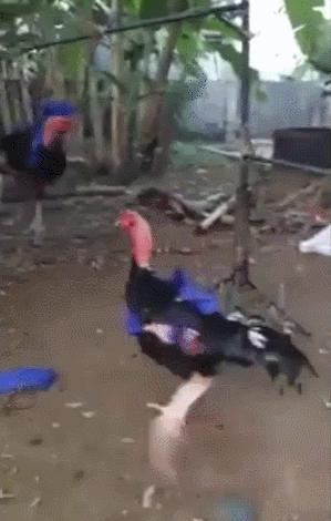 你知道我练习了多少次，才等来这精准一刻