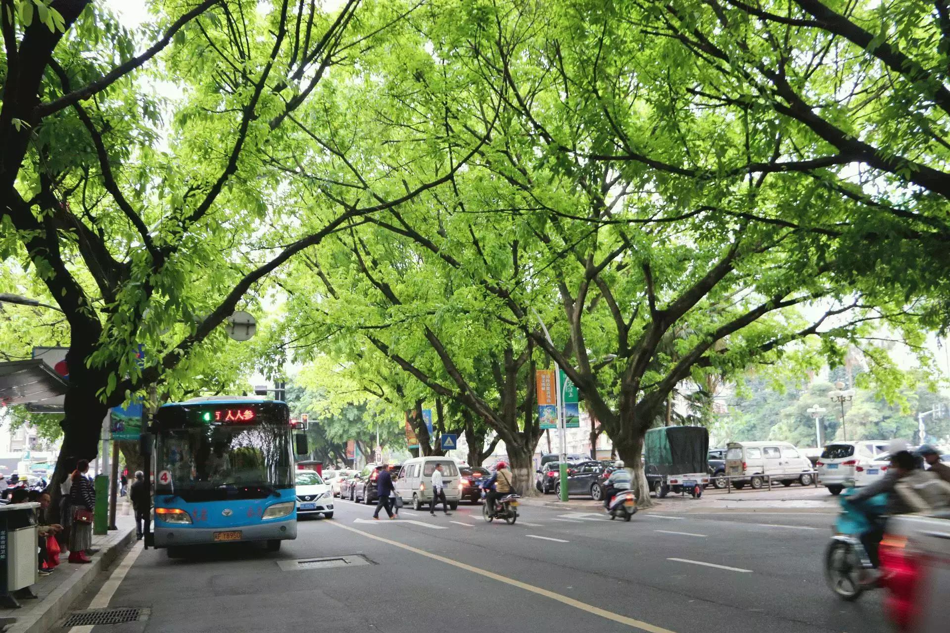 来龙岩必吃的清汤粉,龙岩最好吃的牛肉粉