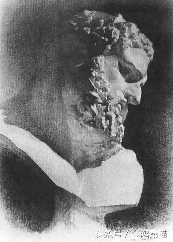 石膏像精美素描分享,石膏像结构素描的画法和步骤