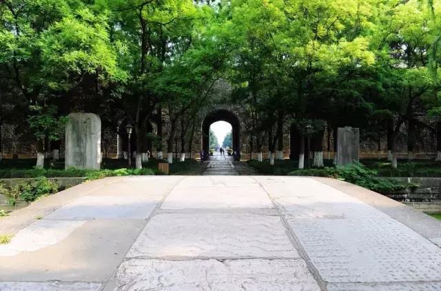 不花一分钱游遍中国,南京六个小众景点