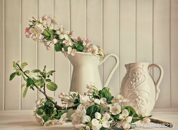 如何延长鲜切花花期,弗朗鲜切花花期长吗