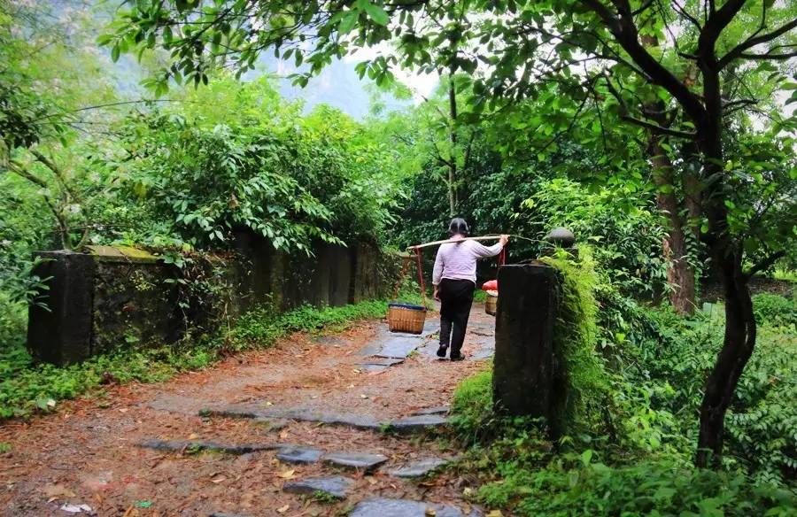 元宝山下，山水云间，悠悠闲云时光，恰好那时我也在