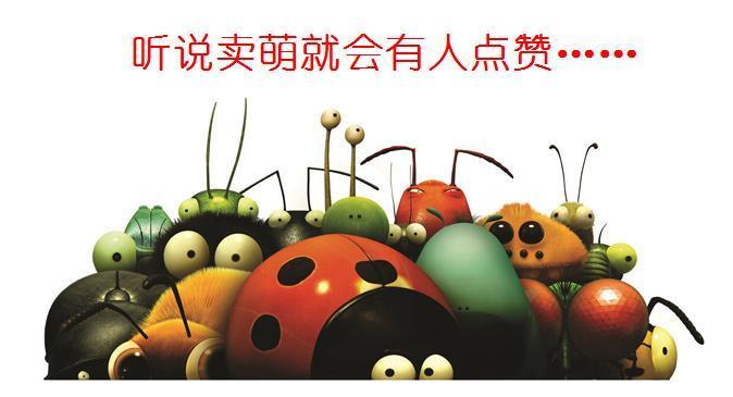 夏天来了家里的虫子好多怎么办,夏天要来了谨慎蚊虫