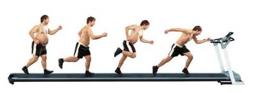 减肥／减脂迷思你误入了几条？