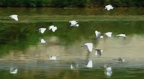 海南环线旅游攻略必去景点推荐,海南旅游攻略必去景点推荐日月湾