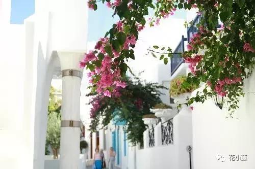 中国的哲学聪颖,中国的哲学和西方的科学