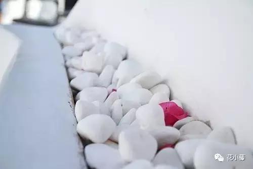 中国的哲学聪颖,中国的哲学和西方的科学