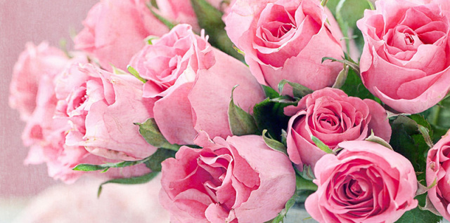 香水鉴赏方法,香水的优劣