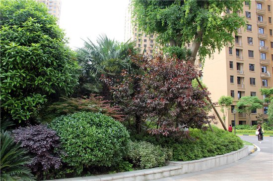 小编探秘：钓鱼台为何代言宜昌楼市潜力股？