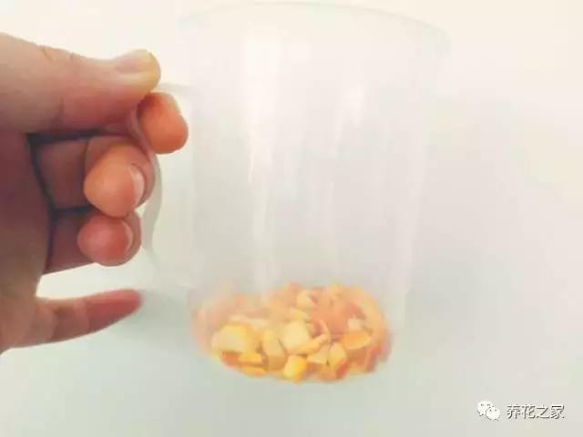 怎样知道花盆土壤酸碱度,怎样改变花盆的碱性