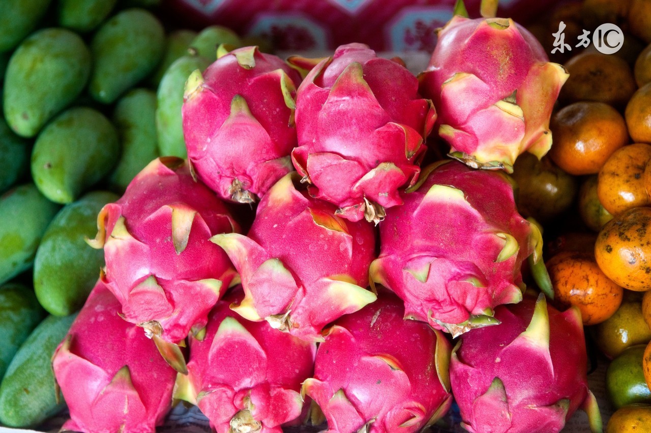 常见水果英语单词读法语音,常见水果英语单词大全100个