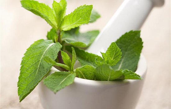 小小的薄荷用好了，胜过灵丹妙药，就看你会不会用了！