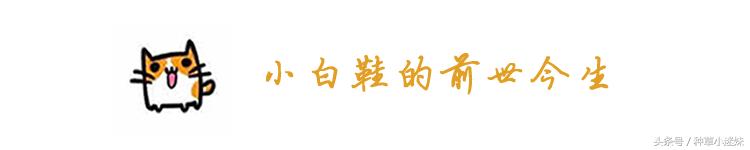 春夏小白鞋排行榜第一名,小白鞋夏季大牌