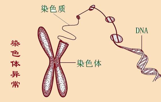 备孕必做检查准爸准妈千万别轻忽,孕前优生优育检查项目有哪些