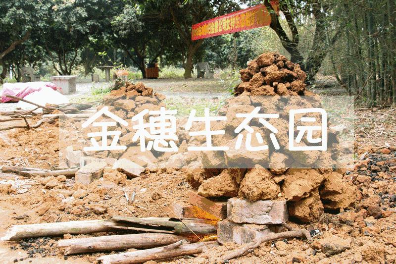 现在南宁去哪里赏花,南宁到武鸣采摘