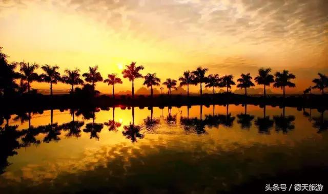 现在南宁去哪里赏花,南宁到武鸣采摘