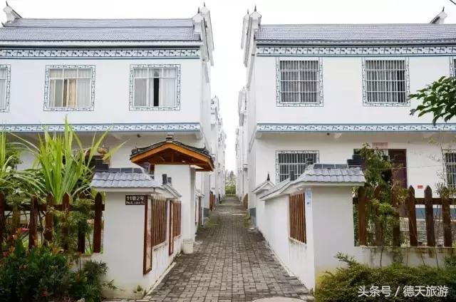 现在南宁去哪里赏花,南宁到武鸣采摘