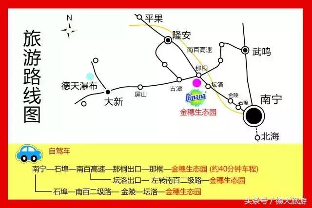 现在南宁去哪里赏花,南宁到武鸣采摘