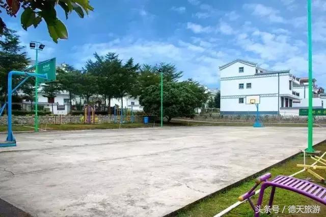 现在南宁去哪里赏花,南宁到武鸣采摘