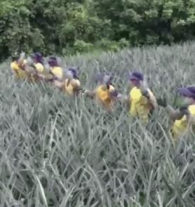 美女你这身材，玩这个动作是不是太危险了