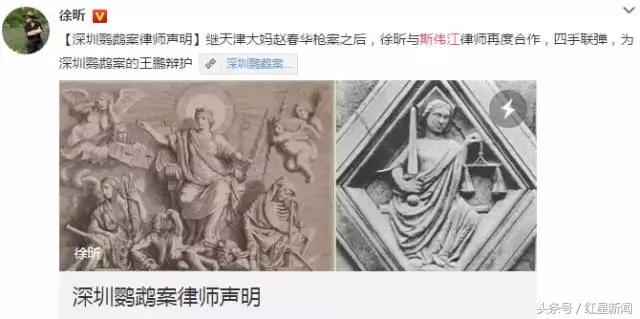 养鹦鹉被判刑的有多少,卖鸟被判10年