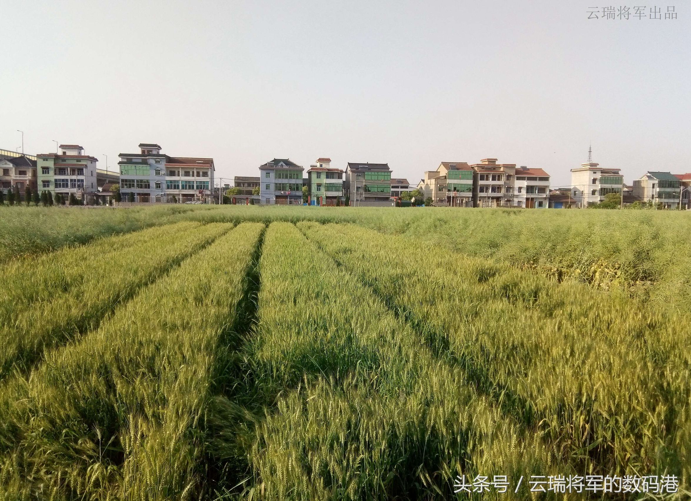 感受新视界——裸眼3D手机ivviK5测评「原创」