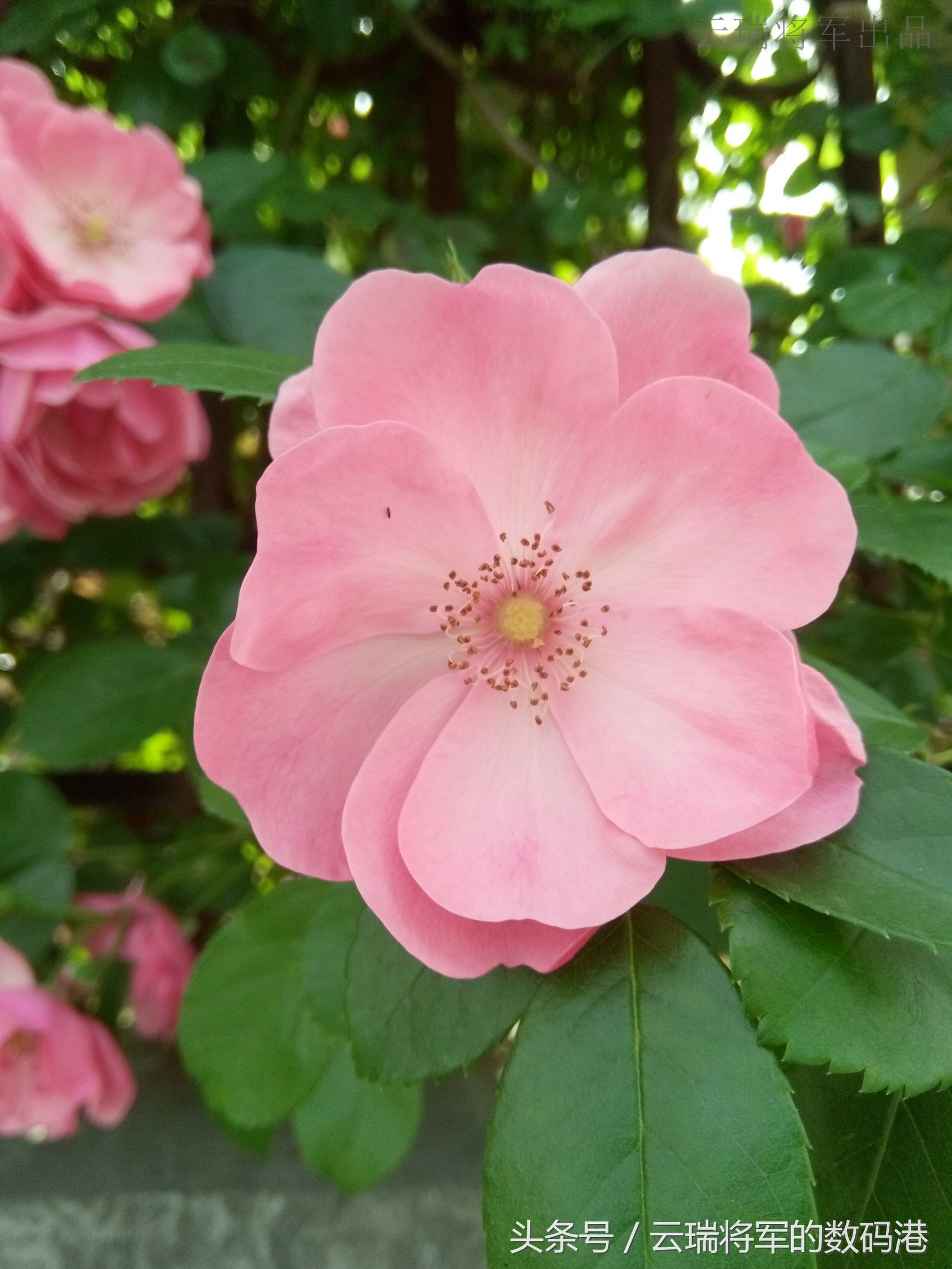 感受新视界——裸眼3D手机ivviK5测评「原创」