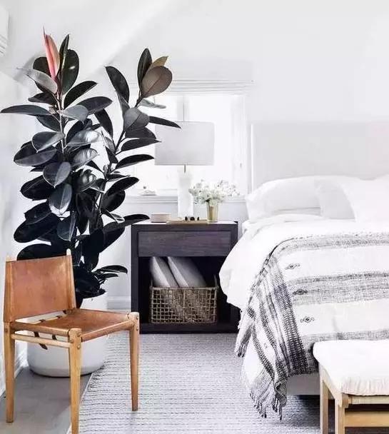 5鏈堜唤鎵︽彃浣曟椂鍙互涓婄泦,澶忓ぉ鎵︽彃鐨勬柟娉曞拰娉ㄦ剰浜嬮」