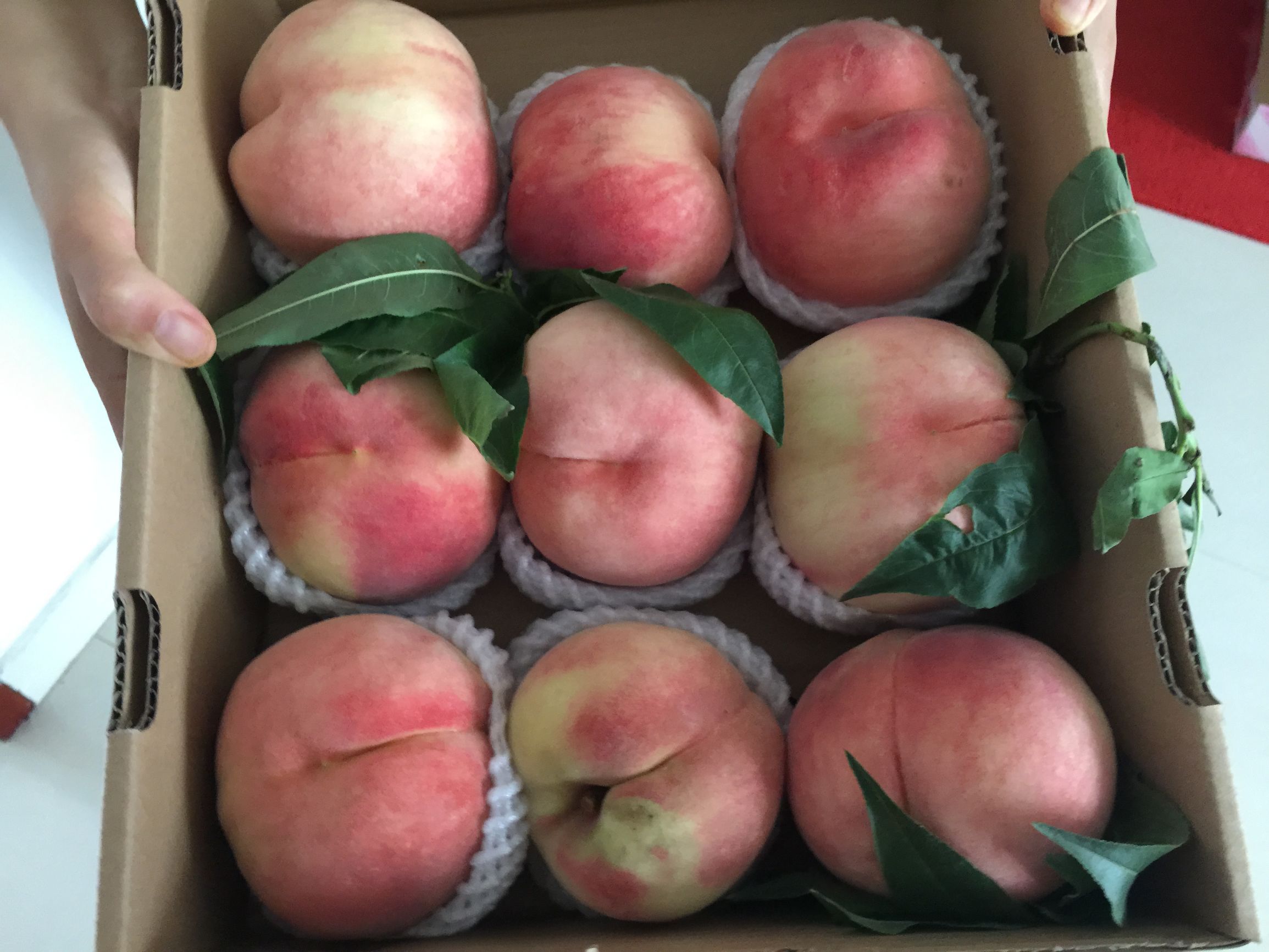 郯城必吃十大馆子川菜,郯城好吃川菜