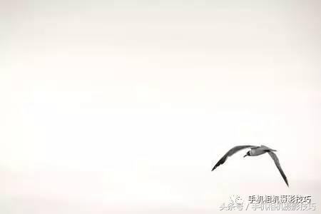 不用ps拍出惊艳的图片,在家自己拍摄10个创意摄影方法