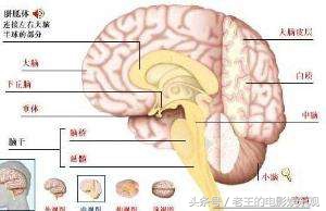 关于上帝禁区有一部国产科幻比《超体》拍的早，只是有点俗