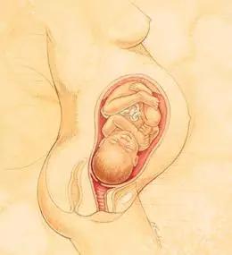 助产士教你正确分娩,金牌助产士简要事迹