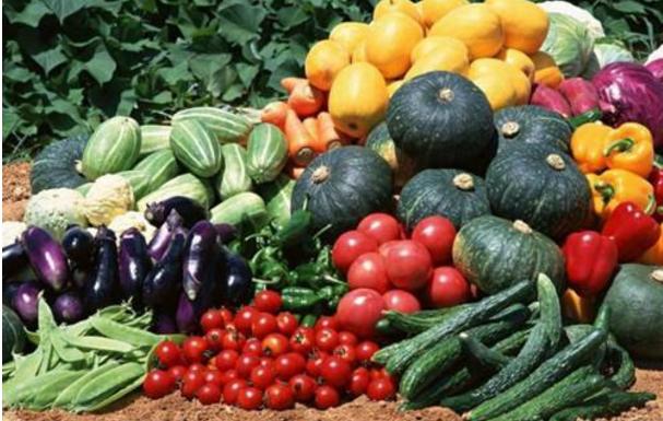 农村十大暴利小生意推荐,县城农村暴利小生意有哪些