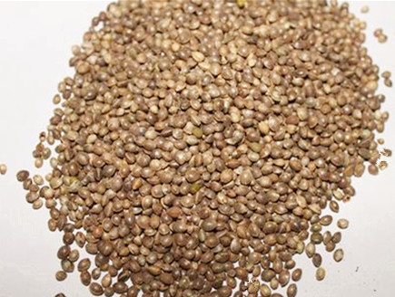 巴马火麻汤正宗做法,火麻仁汤的正确做法