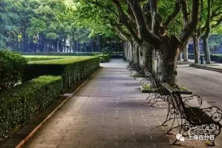 上海最美地方视频,上海最美的地方航拍