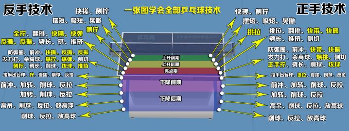 乒乓球技术分享反手站位框架教学,乒乓球技术汇总表