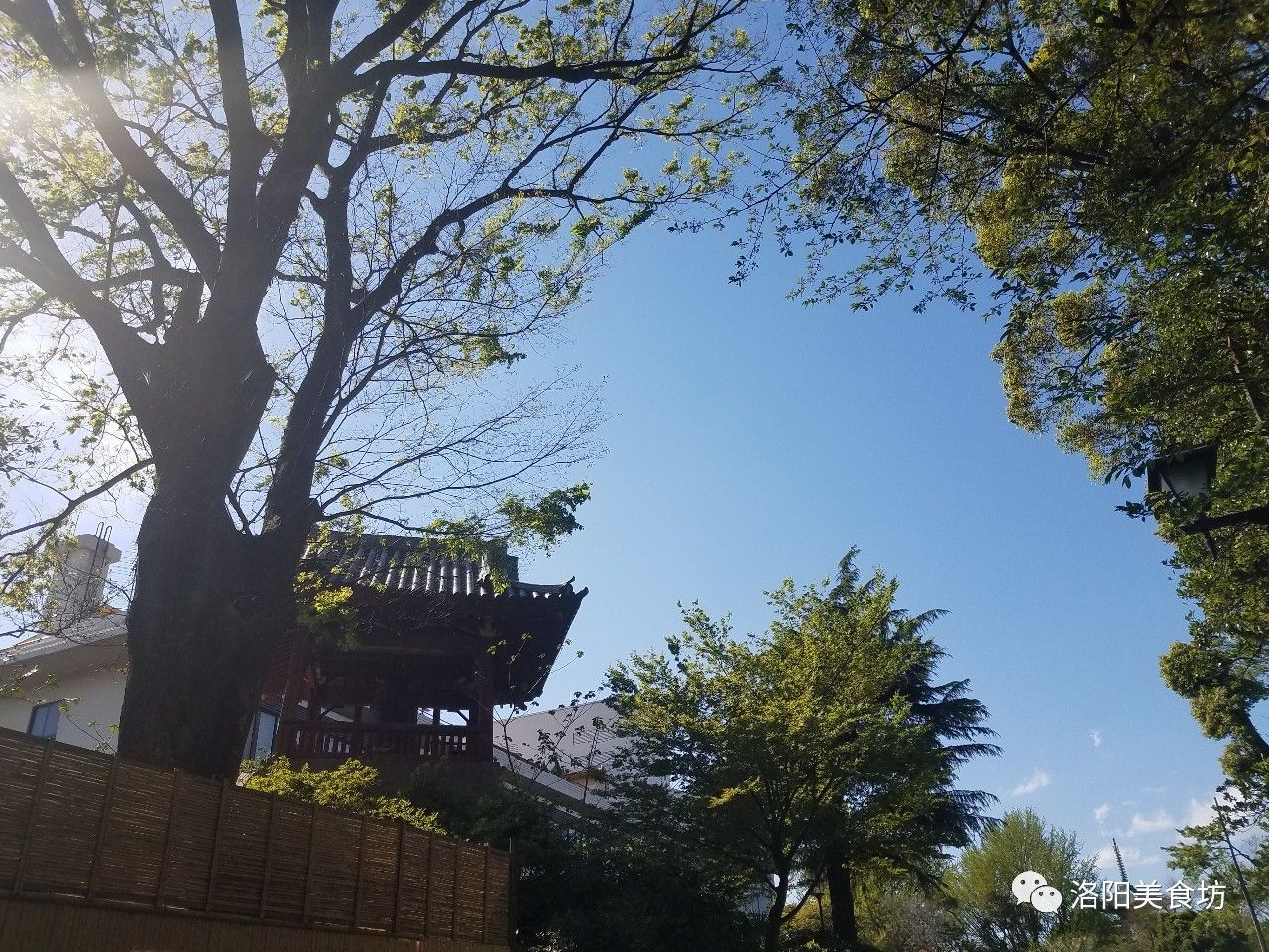 9月初京都大阪奈良7天游,大阪东京自由行7日攻略