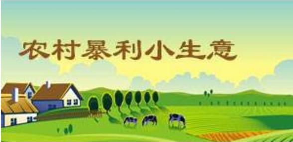 农村十大暴利小生意推荐,县城农村暴利小生意有哪些