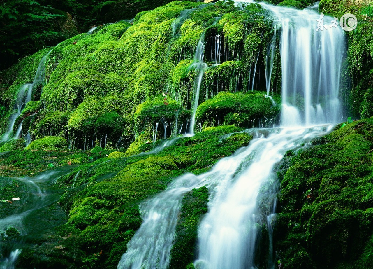 强迫性神经症的根本特点,神经性强迫症的痛苦