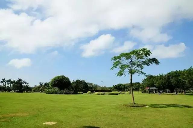 海南环线旅游攻略必去景点推荐,海南旅游攻略必去景点推荐日月湾