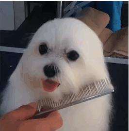 美女你这身材，玩这个动作是不是太危险了