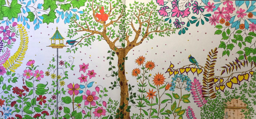 花园的秘密涂色,秘密花园涂色完整版范本图文