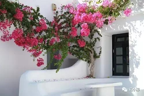 中国的哲学聪颖,中国的哲学和西方的科学