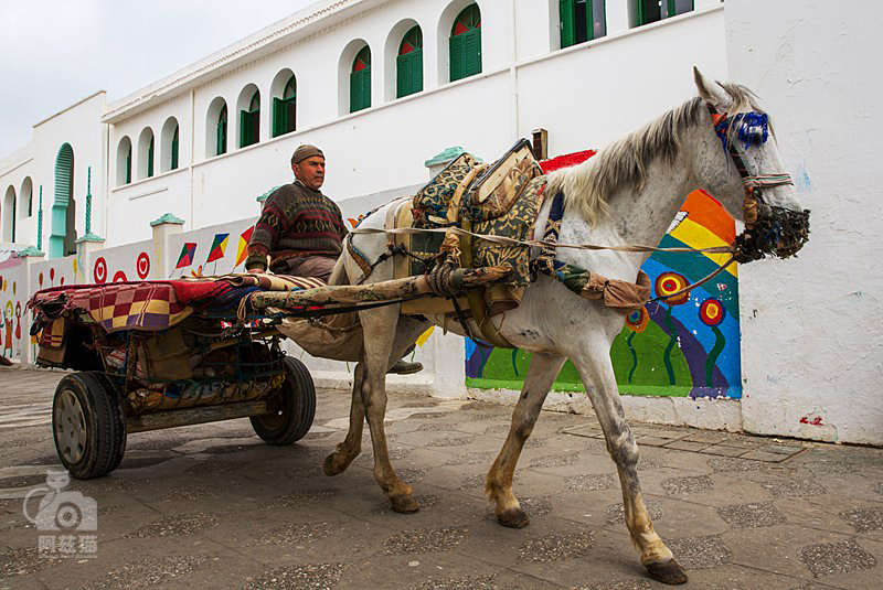 摩洛哥，这个穆斯林国家的现代艺术也很有味道！