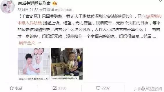 养鹦鹉被判刑的有多少,卖鸟被判10年