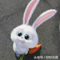 哥哥太爱我了怎么办鹿晗,哥哥太爱我了怎么办吻戏结局