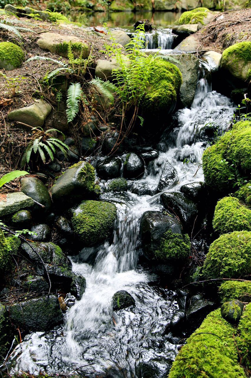 七十迈分享—14天玩儿转加拿大枫叶之国自驾游之旅（二）